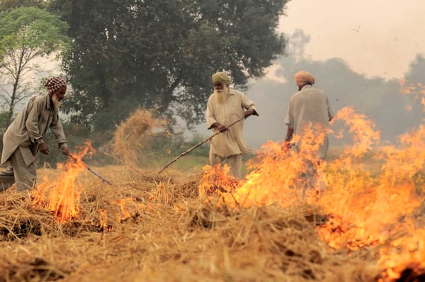 The farm fires paradox